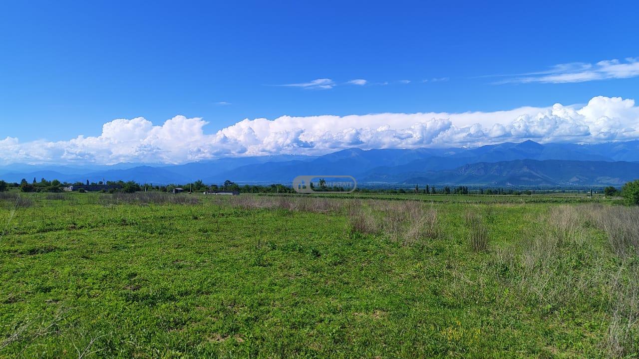 Land for Sale in Nasamkhrali