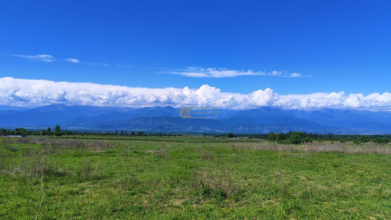 Land for Sale in Nasamkhrali