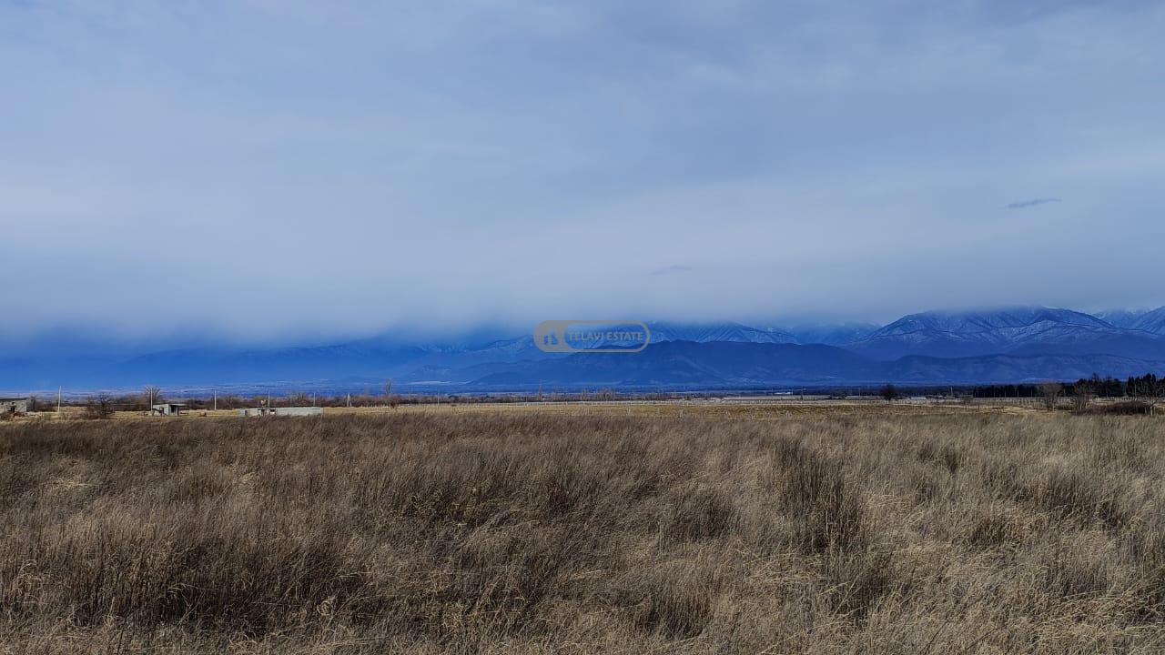 Land for Sale in Nasamkhrali