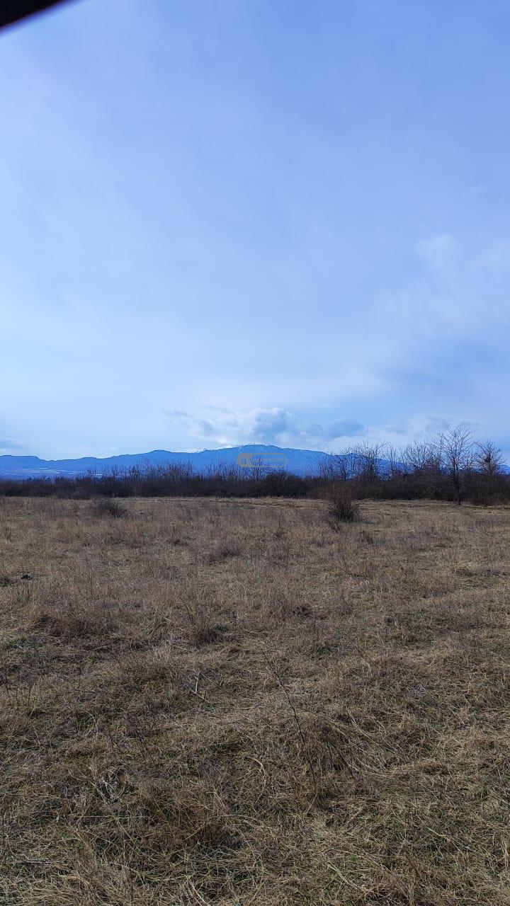 Land for Sale in Nasamkhrali