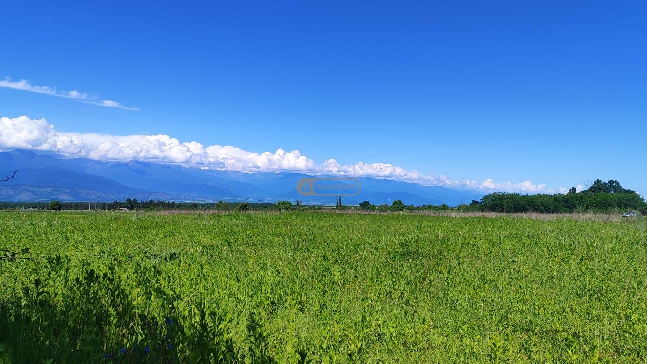 Land for Sale in Nasamkhrali