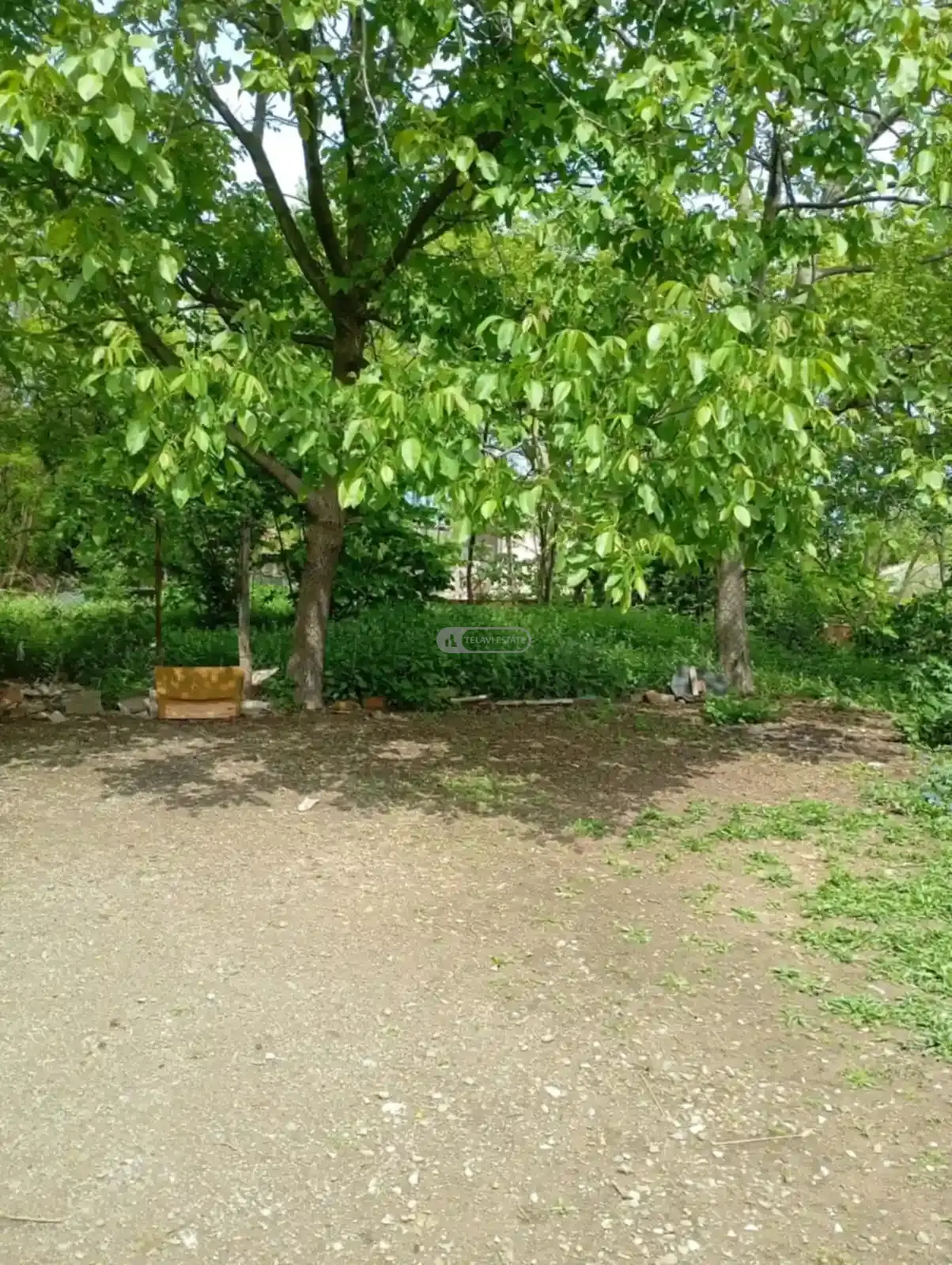 Дом в Шалаури