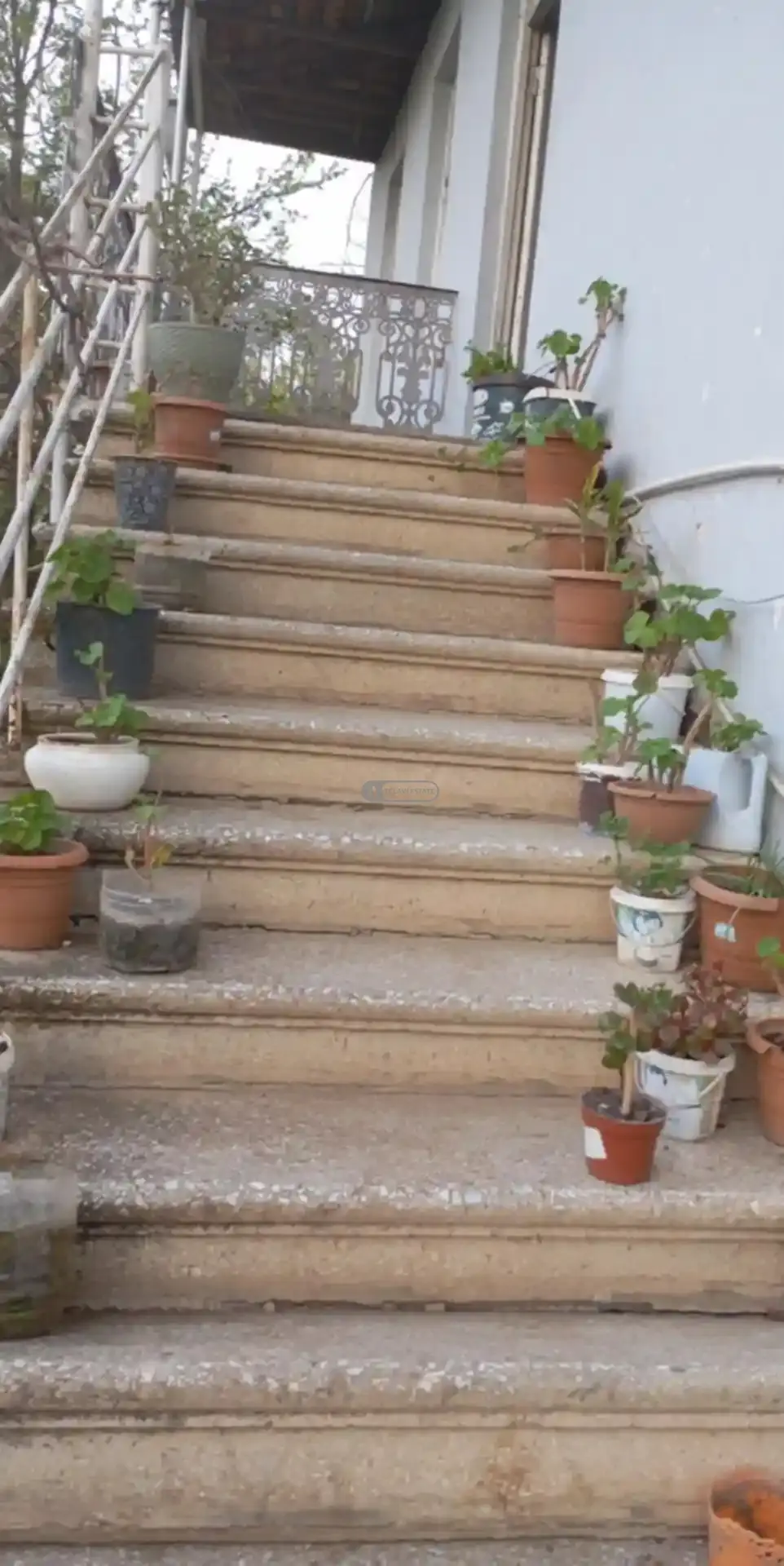 Дом в Шалаури