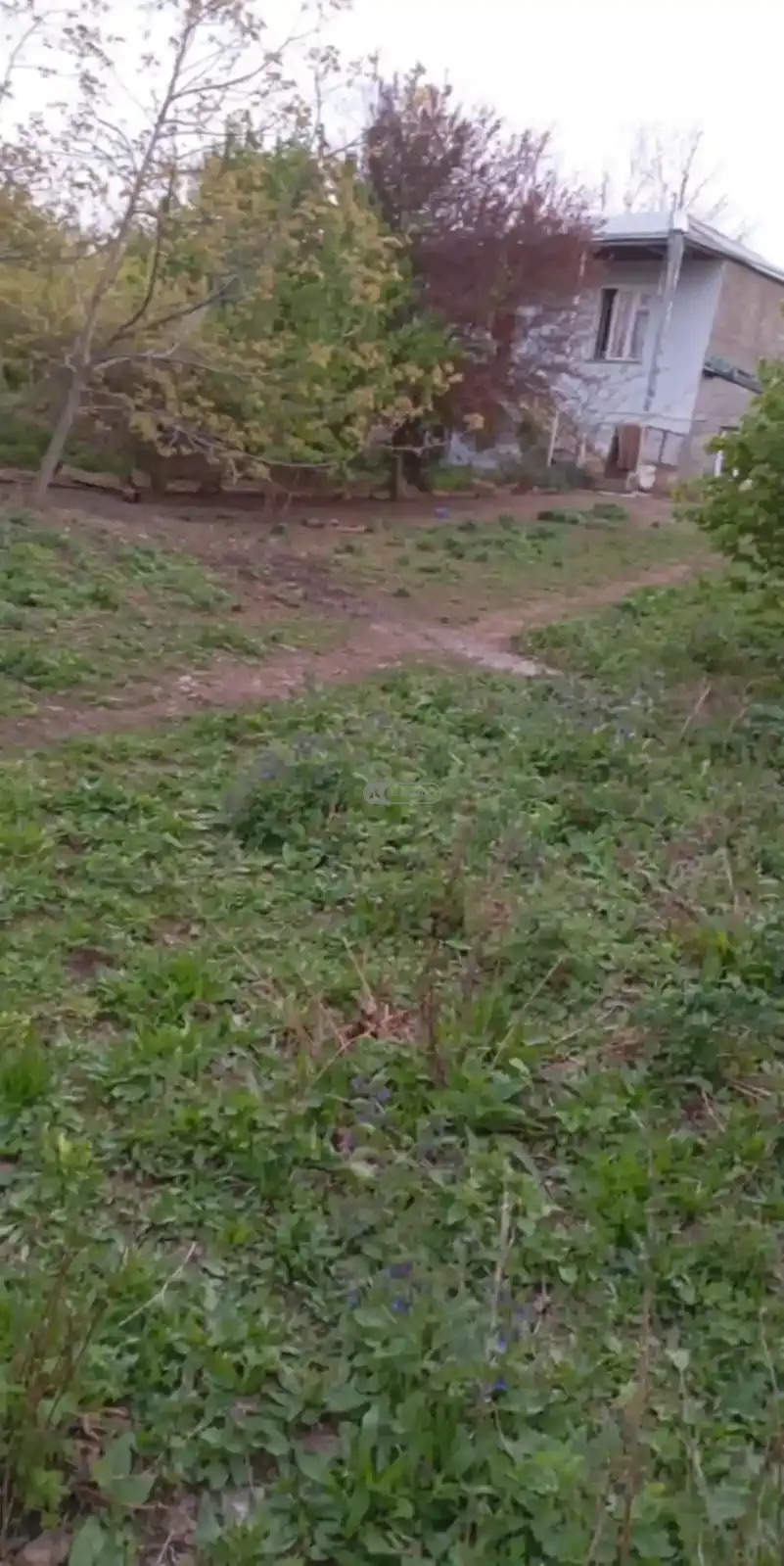 Дом в Шалаури