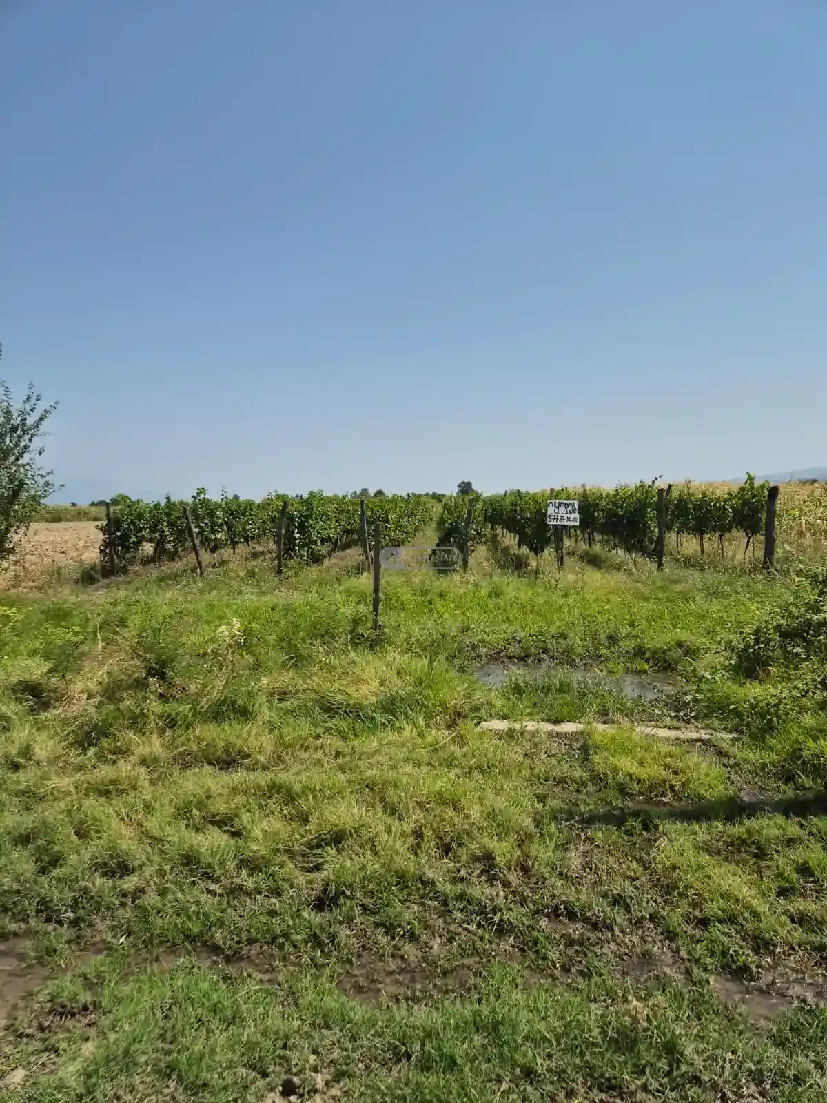 Land for Sale in Kogoto Village