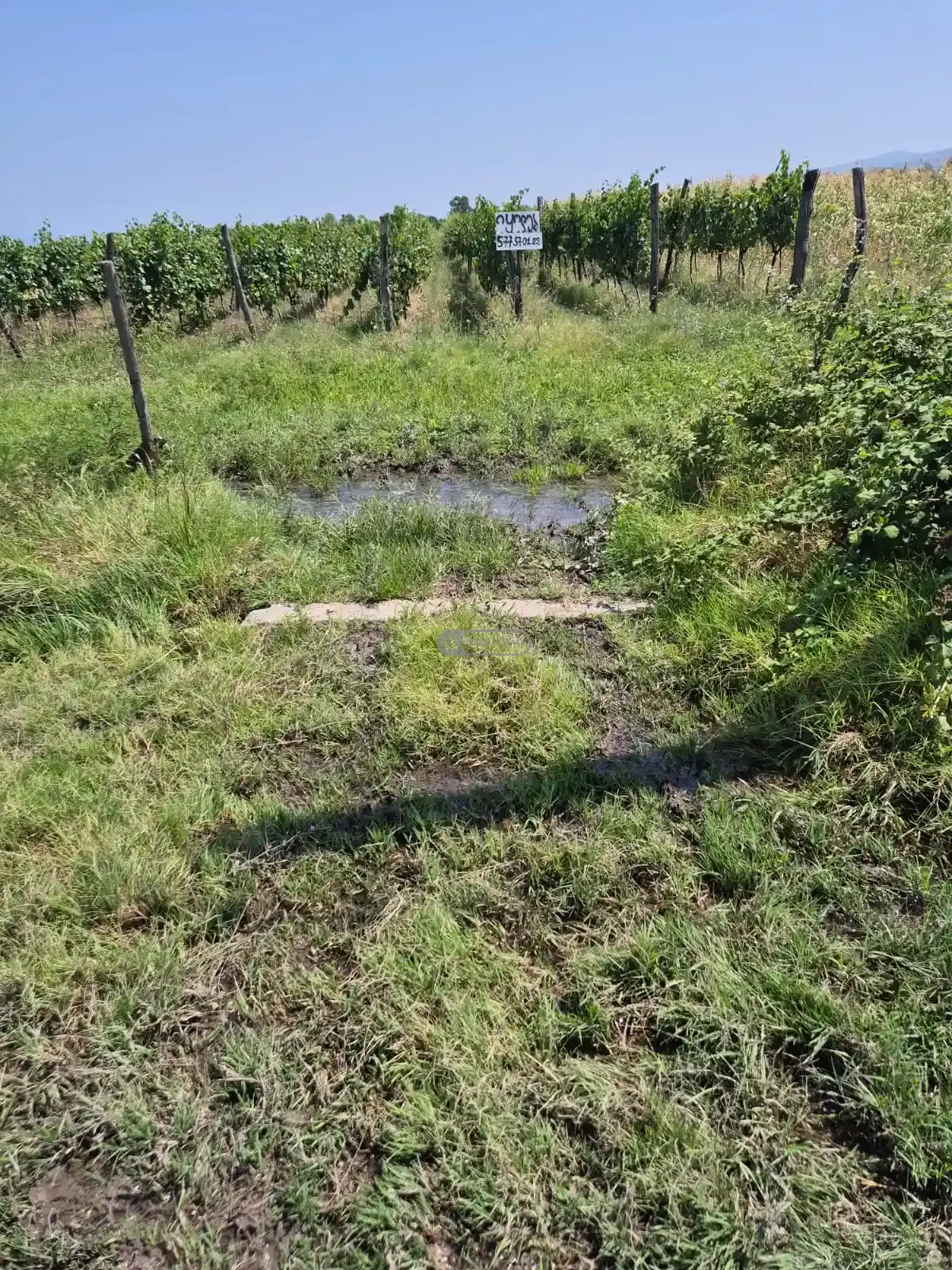 Land for Sale in Kogoto Village