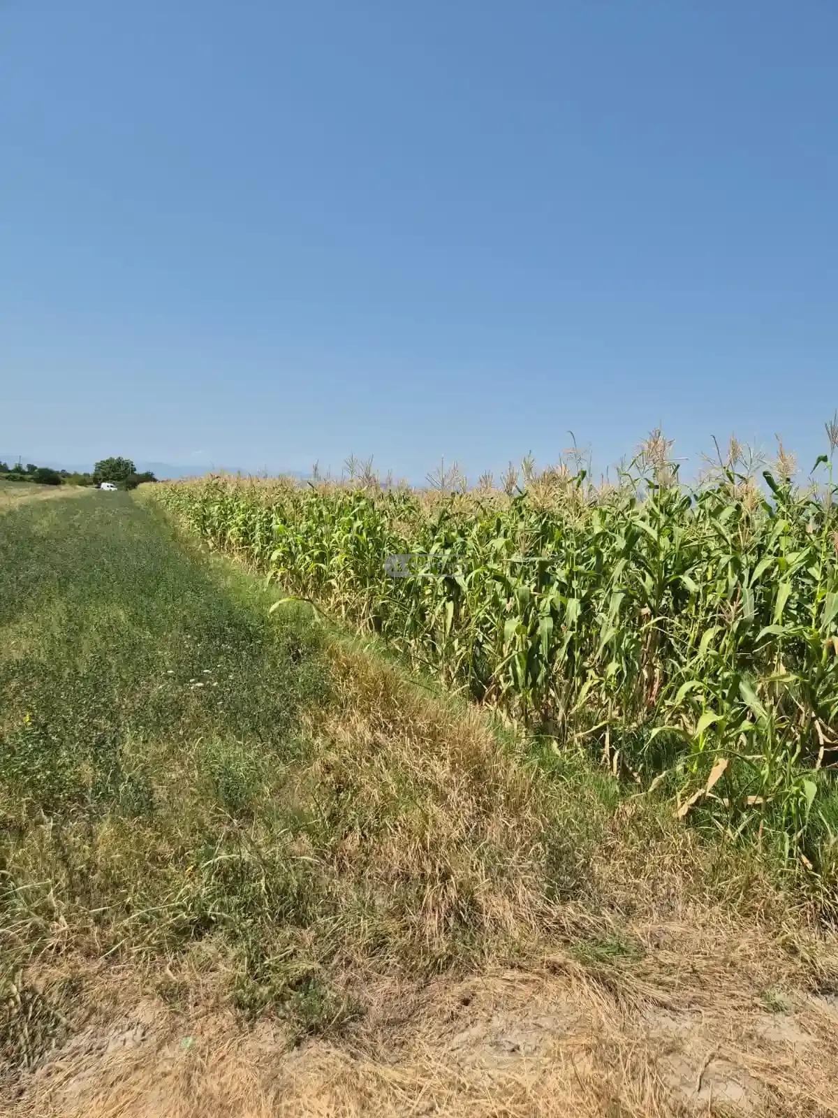 Land for Sale in Kogoto Village