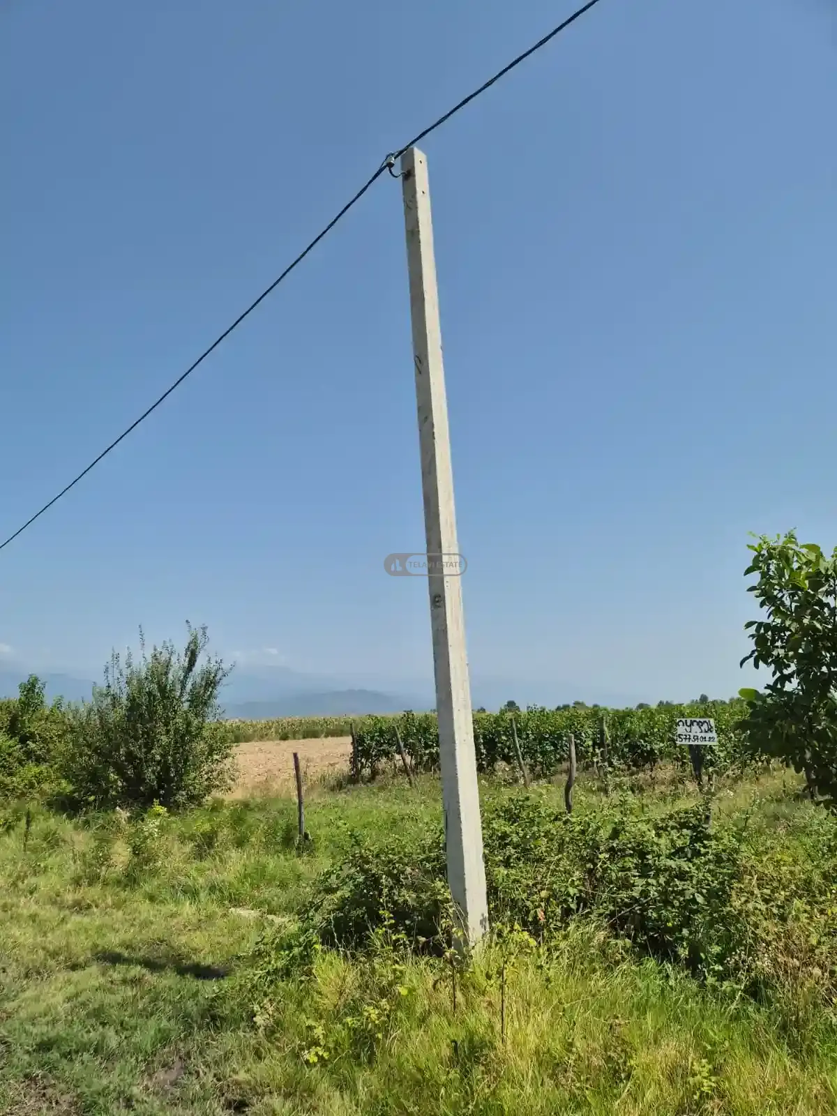Land for Sale in Kogoto Village