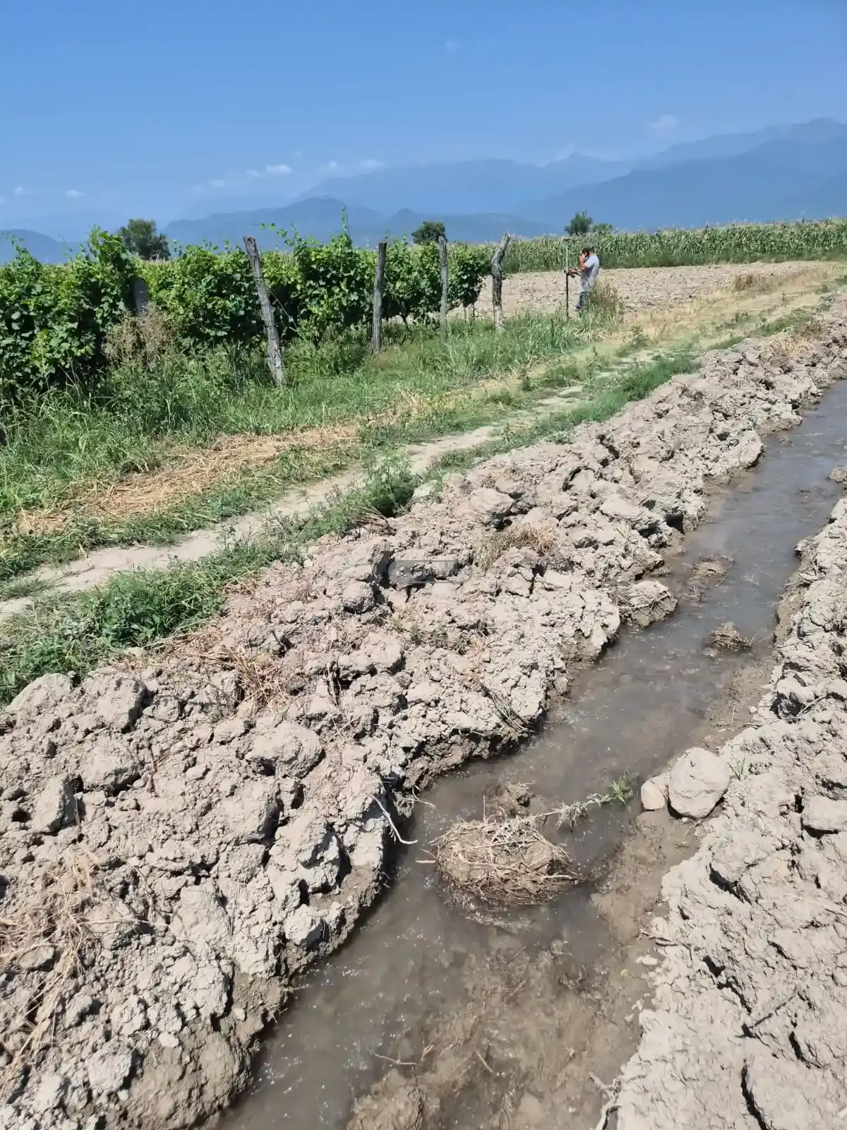 Land for Sale in Kogoto Village