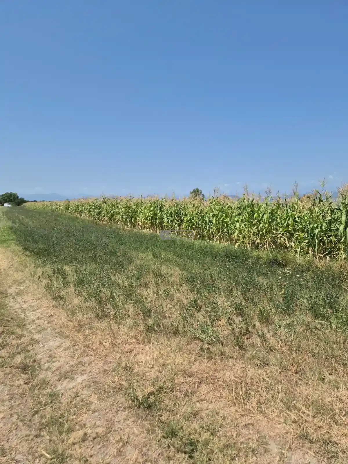 Land for Sale in Kogoto Village