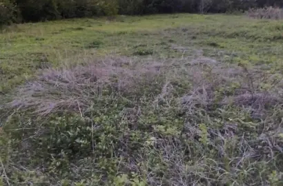 земельный участок в Кондоли