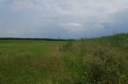 Land Plot in Chandari