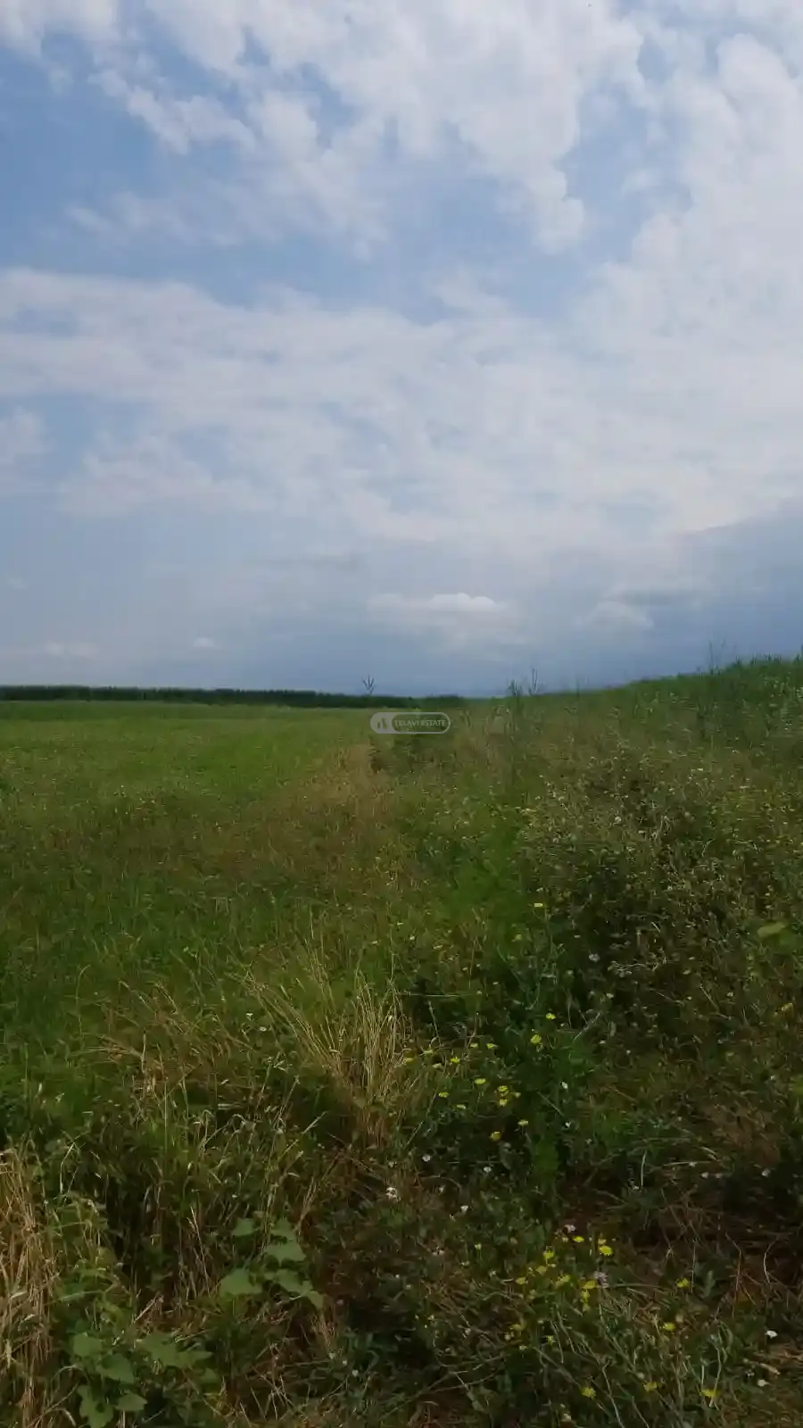 Land Plot in Chandari