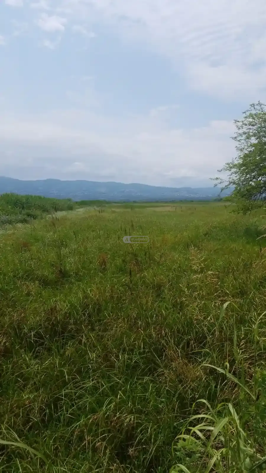 Land Plot in Chandari