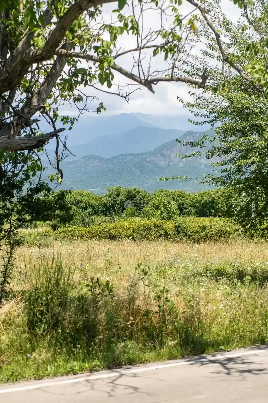 მიწის ნაკვეთი თელავში