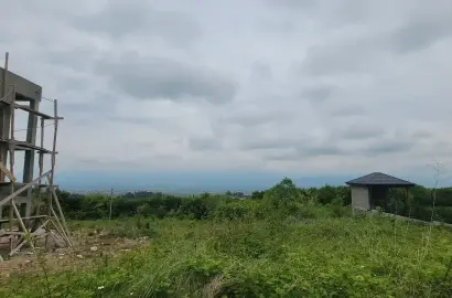 მიწის ნაკვეთი თელავში - ზუზუმბო