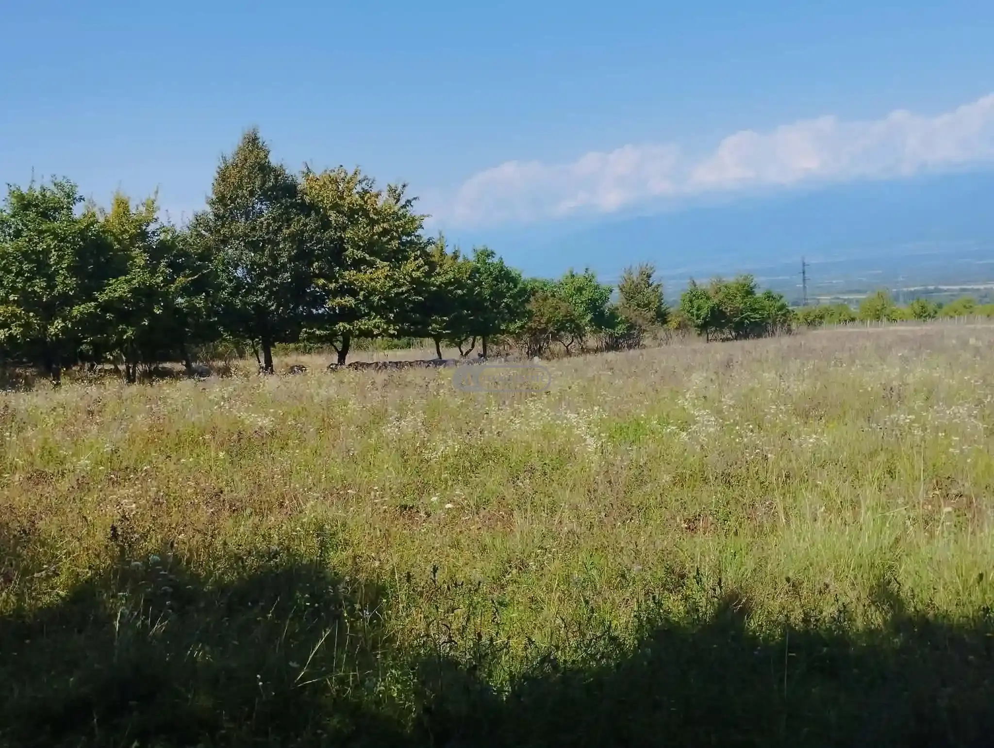 Investment Land Plot in Upper Kisiskhevi