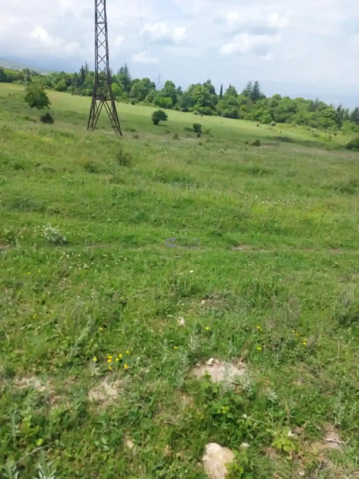 Продается земельный участок в Вардисубани