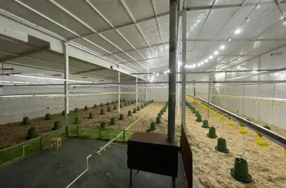 Commercial property in Shalauri