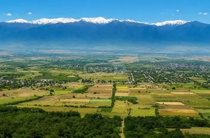 მიწის ნაკვეთი რუისპირში