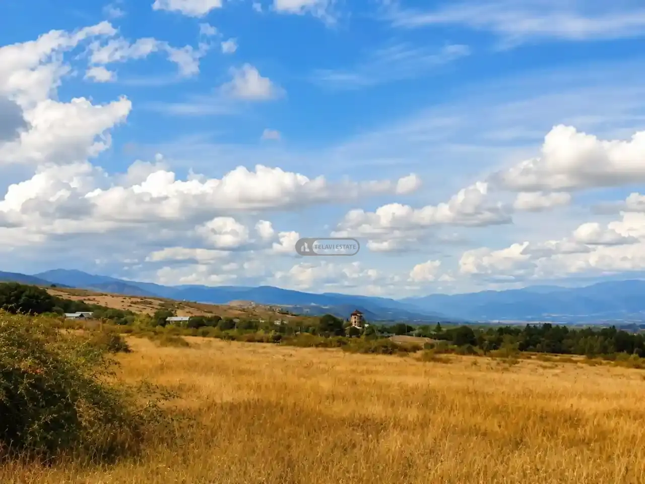 მიწის ნაკვეთი რუისპირში