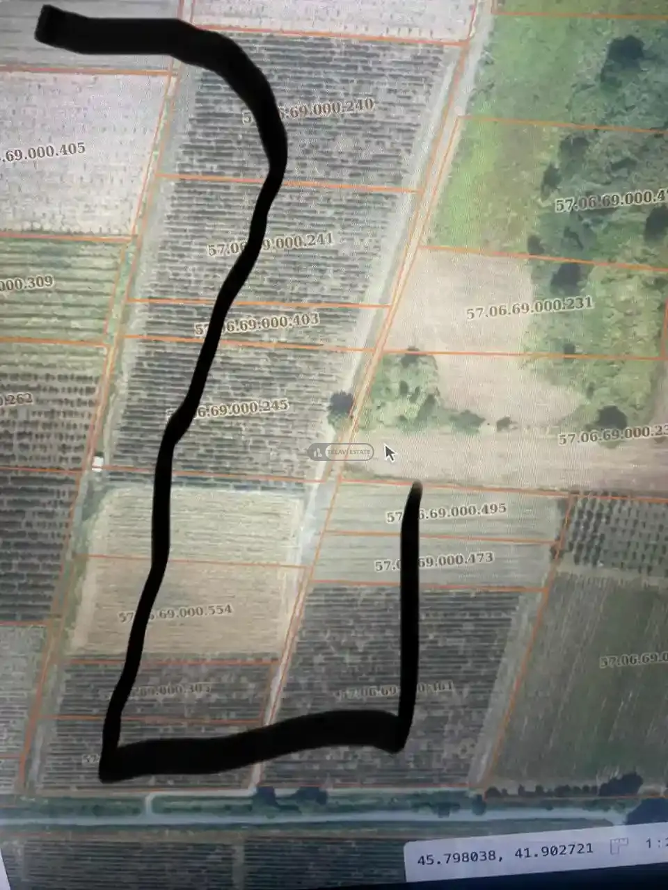 Vineyard in Kvareli, Kindzmarauli Microzone