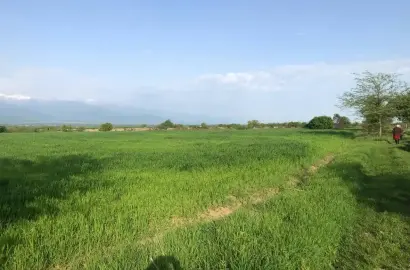 Продаётся земельный участок в Вардиcубани