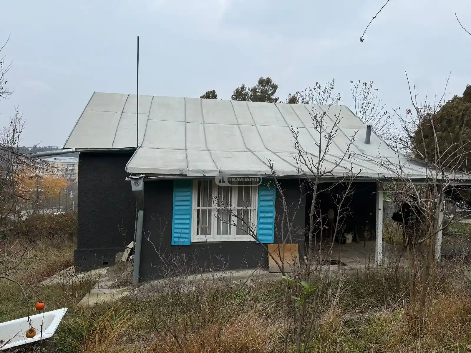 კაპიტალური კოტეჯი თელავში