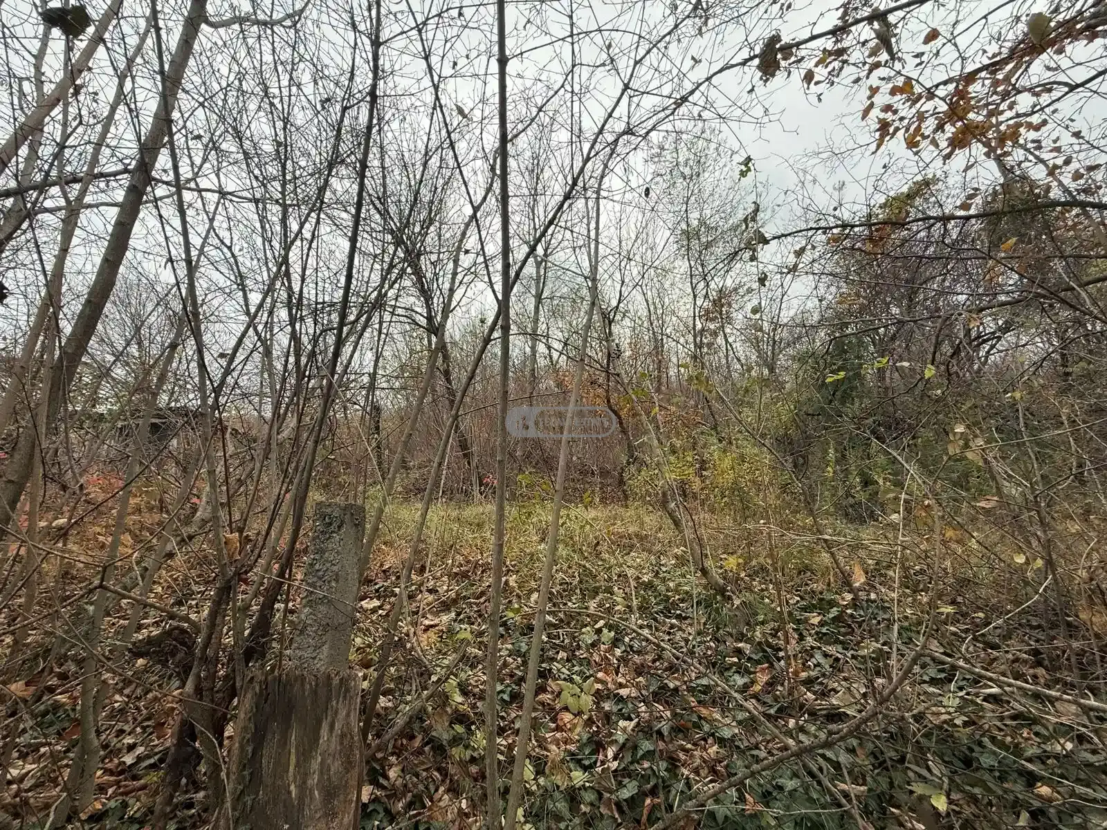 კაპიტალური კოტეჯი თელავში