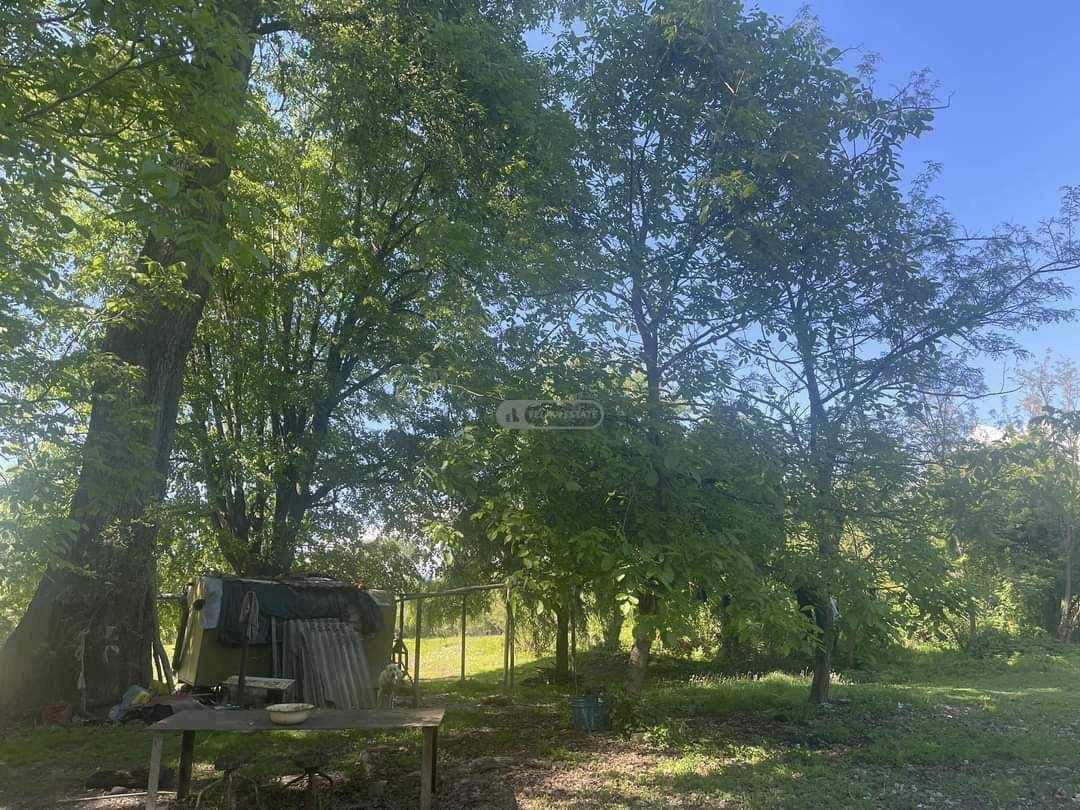 საგუბრები სოფელ წინანდალში