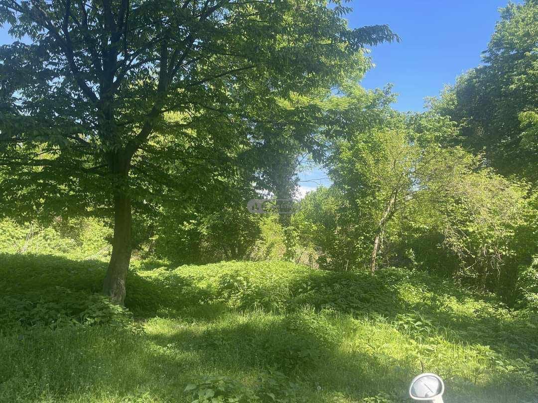 საგუბრები სოფელ წინანდალში