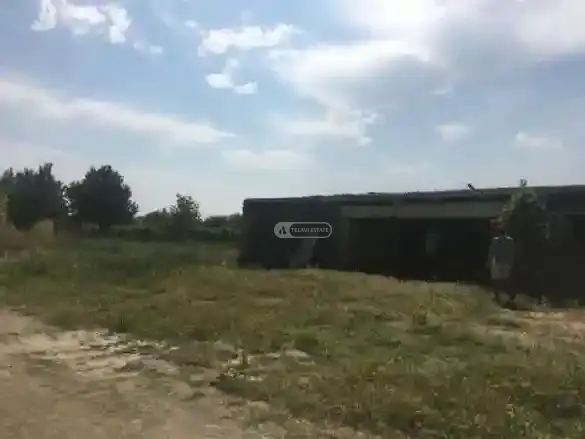 ვენახი შაქრიანთან