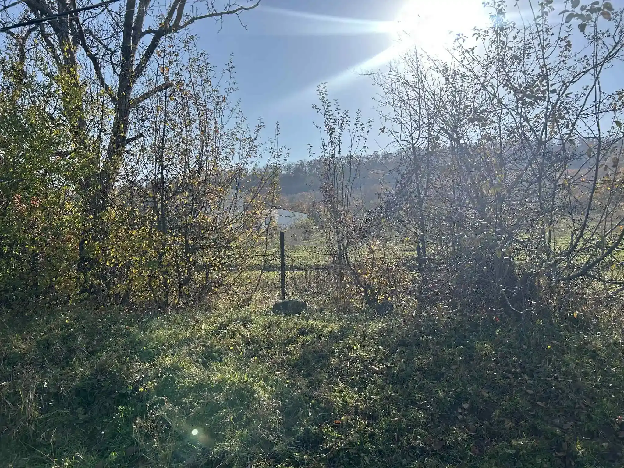 მიწის ნაკვეთი ვარდისუბანში, მერე