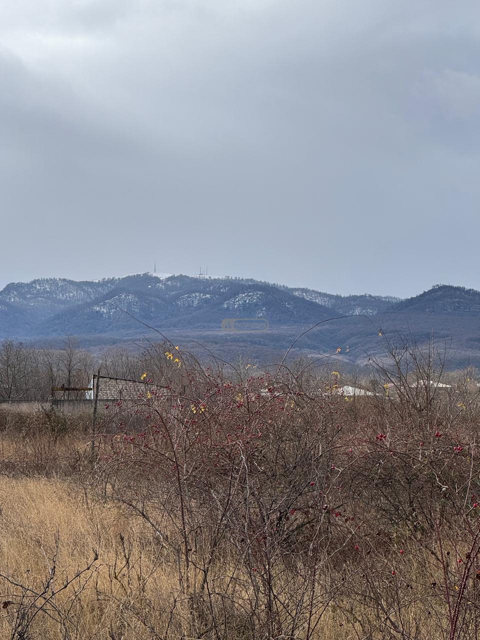 მიწის ნაკვეთი ვარდისუბანში