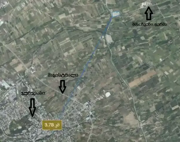 Land plot in Gurjaani