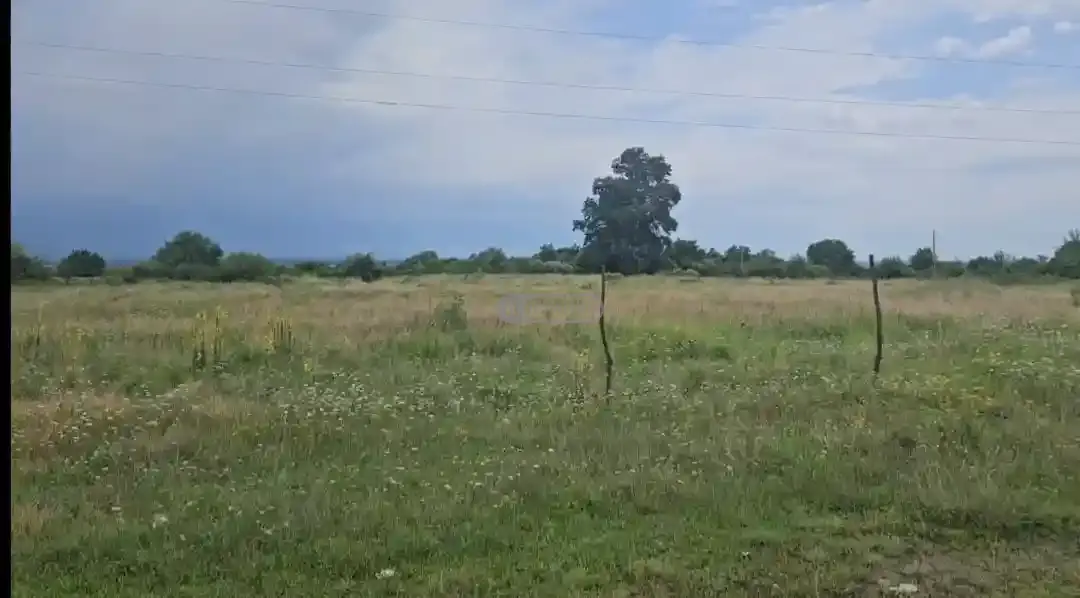 Land plot in Gurjaani