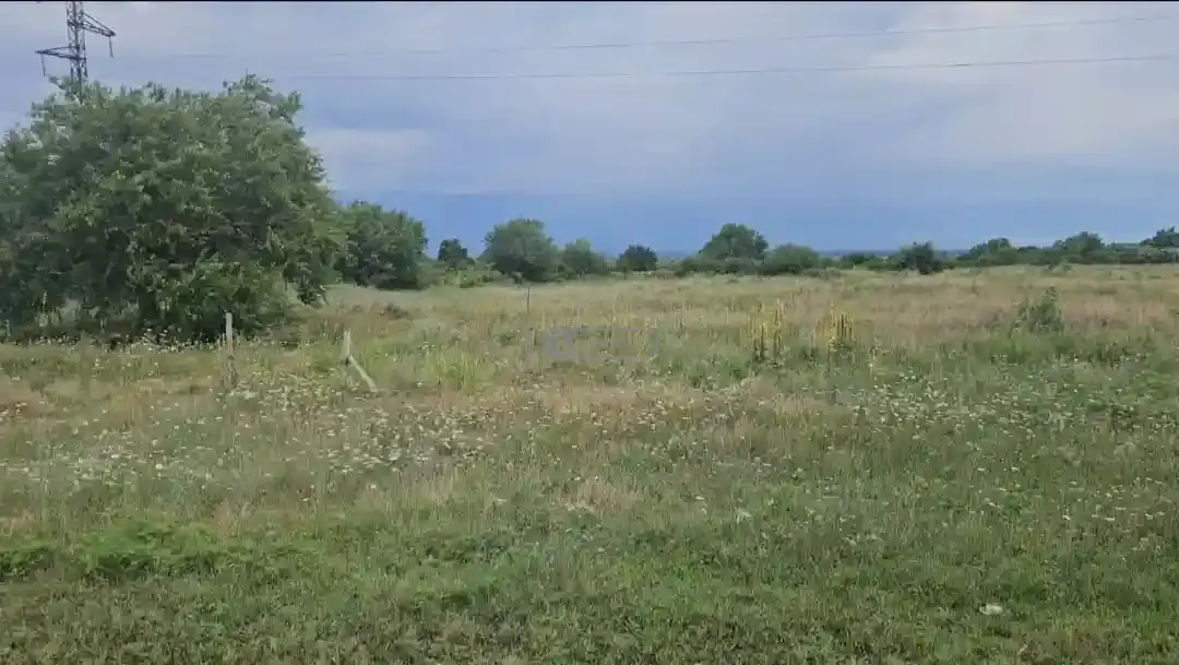 Land plot in Gurjaani