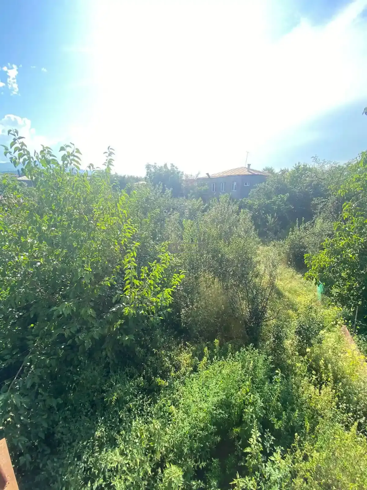 სარემონტო სახლი კურდღელაურში