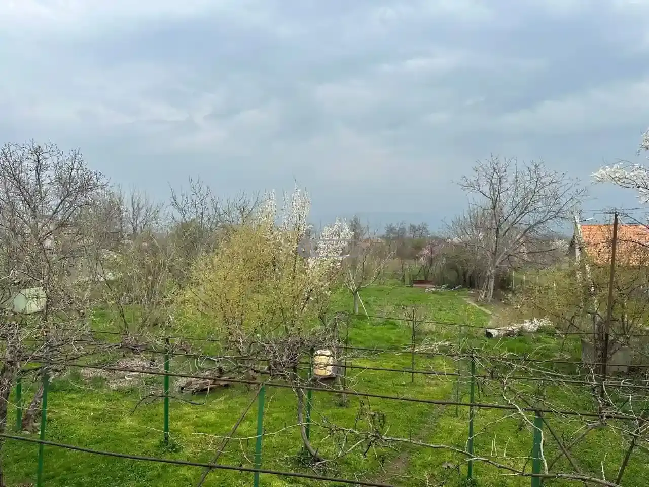Дом в Шалаури
