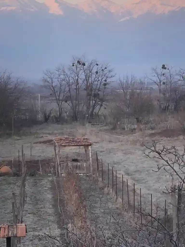 მიწის ნაკვეთი წინანდალში