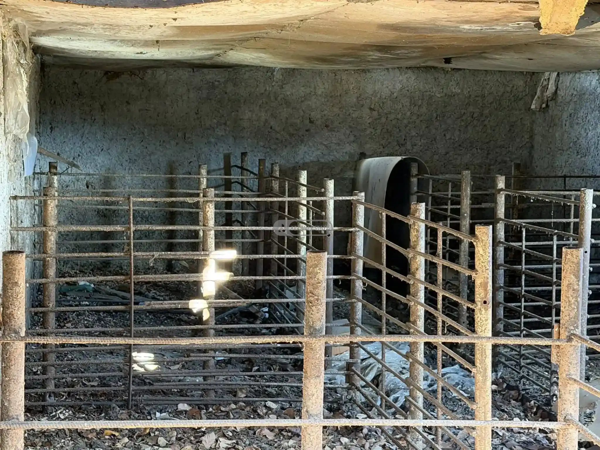 კოტეჯი კონდოლში