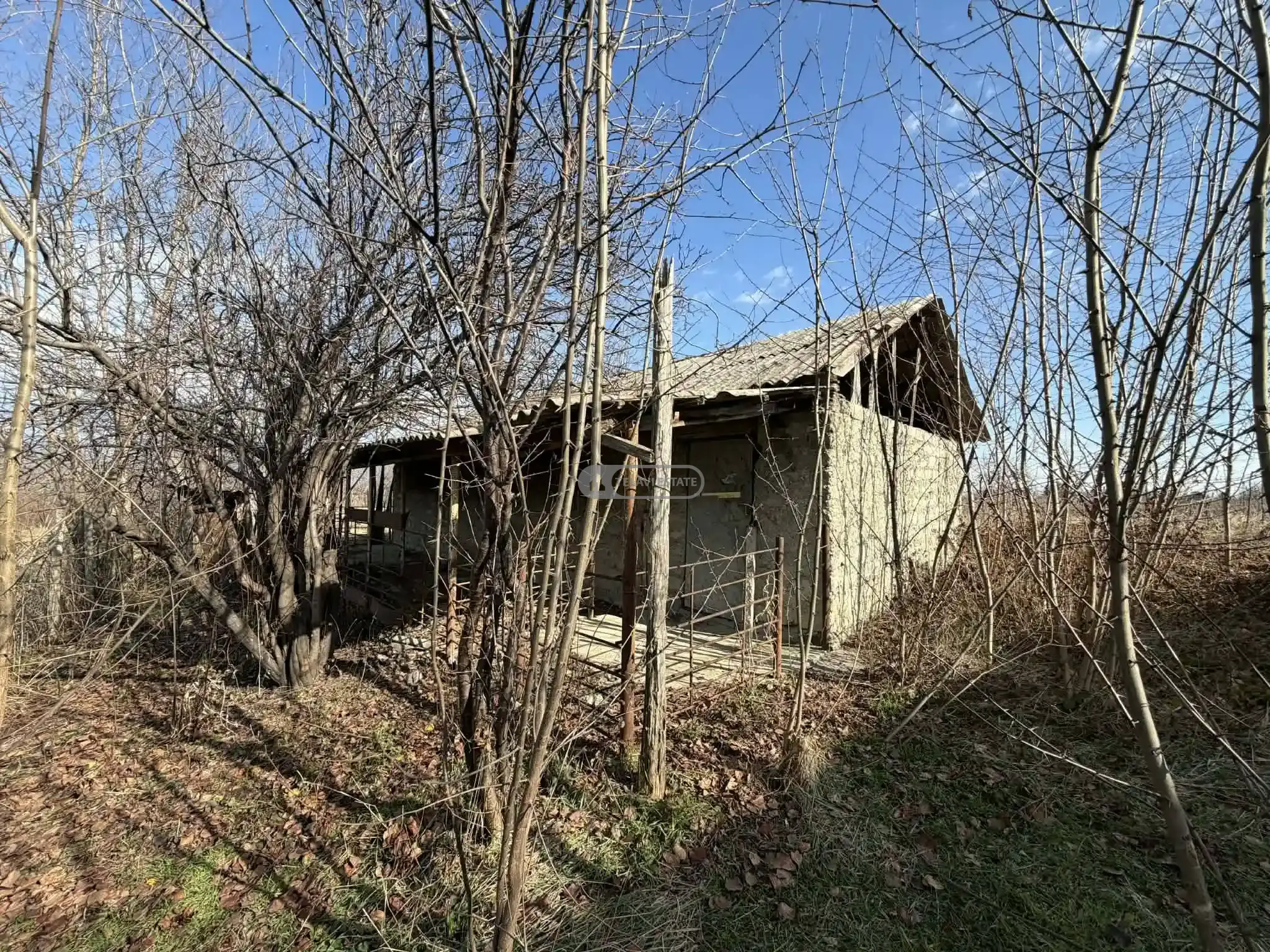 კოტეჯი კონდოლში