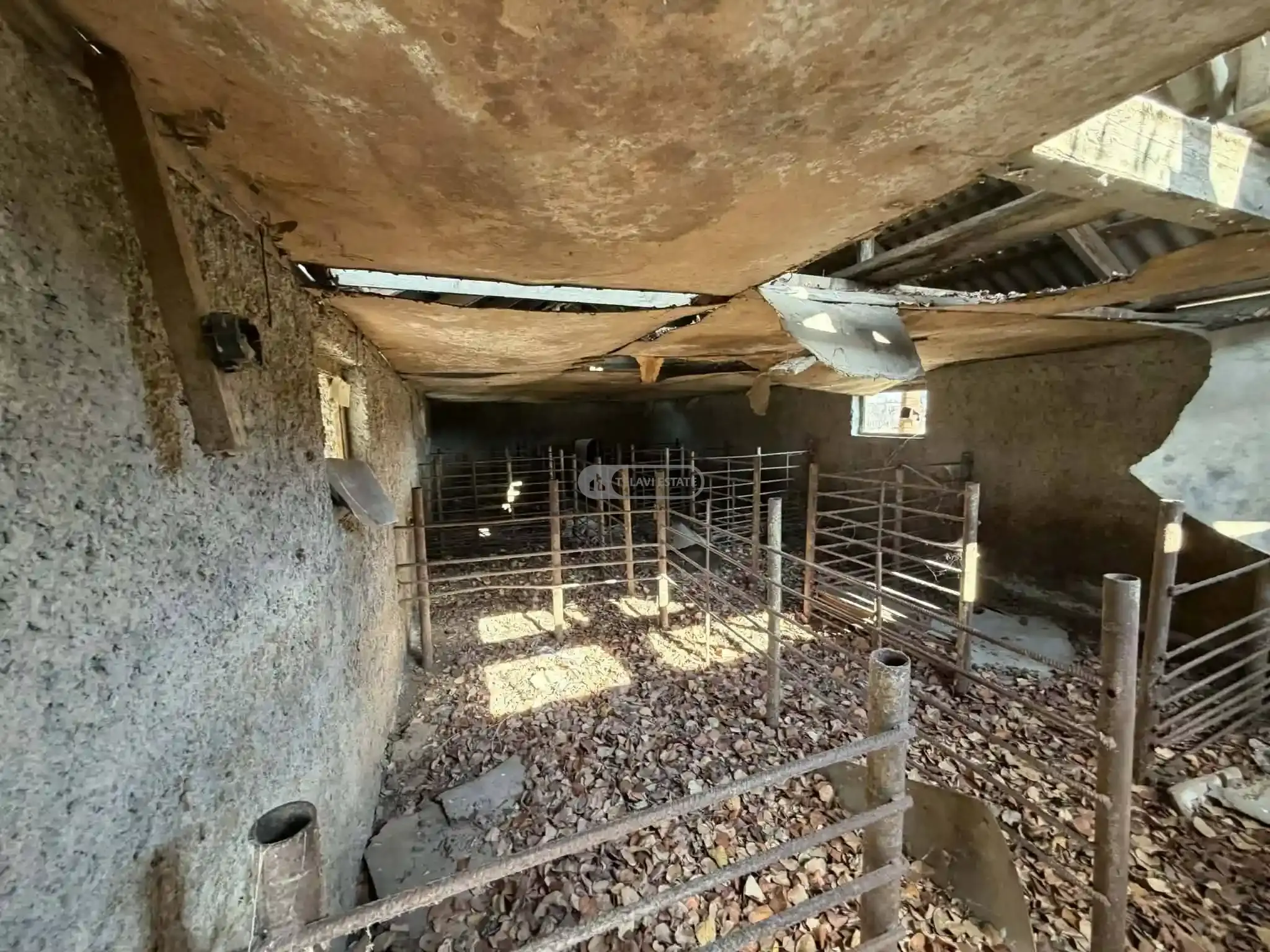 კოტეჯი კონდოლში