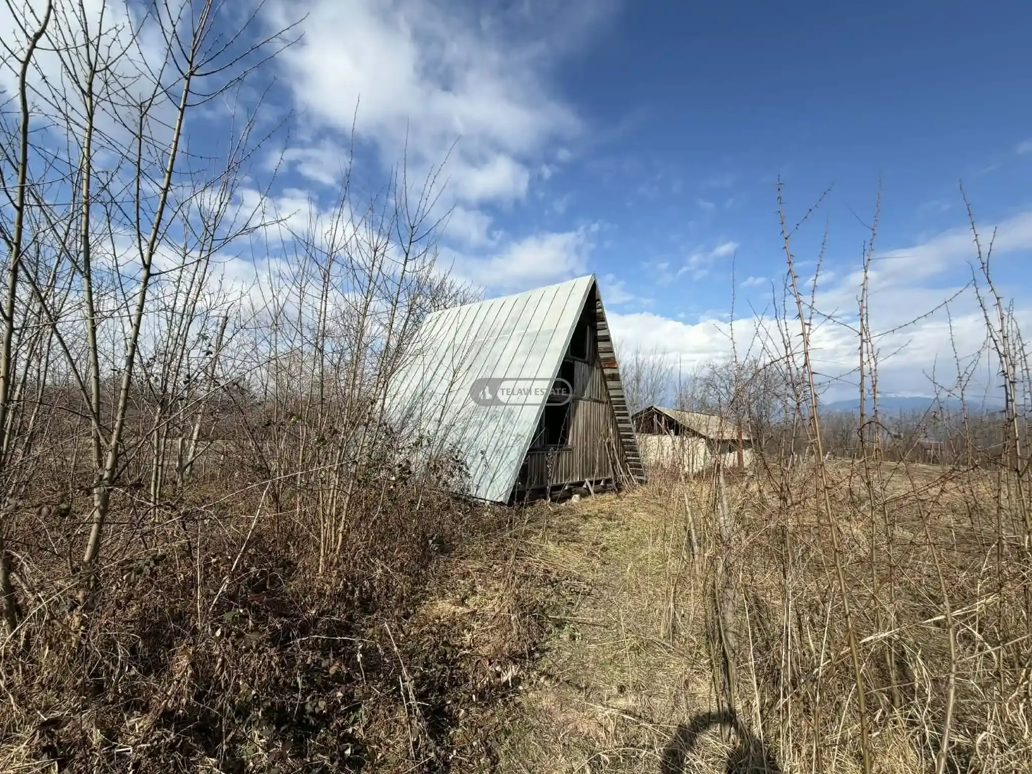 კოტეჯი კონდოლში