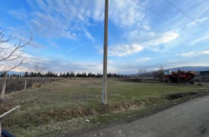 მიწის ნაკვეთი იყალთოში