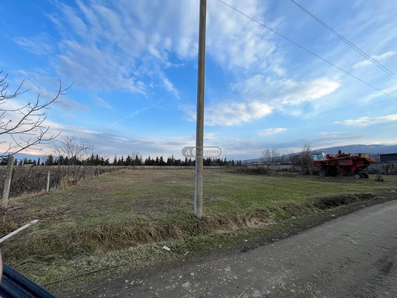 მიწის ნაკვეთი იყალთოში