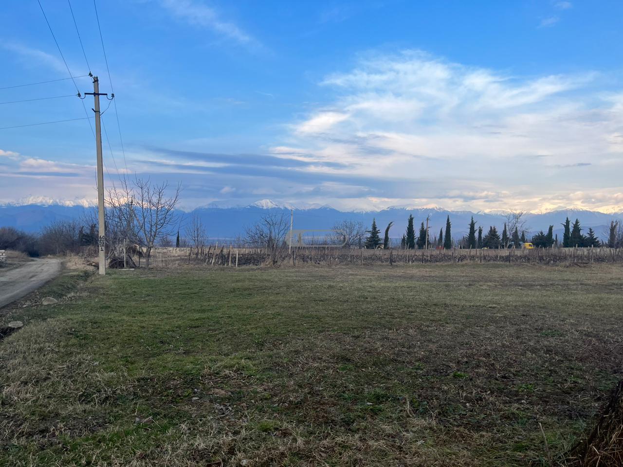 მიწის ნაკვეთი იყალთოში