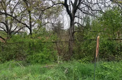 Земельный участок в городе Телави