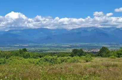 Residential / Cottage Land Plot in Vardisubani