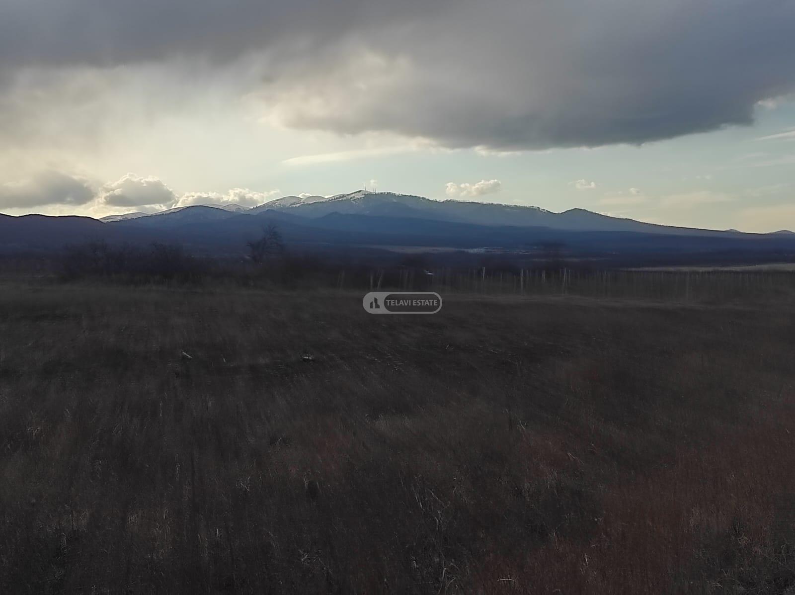 მიწის ნაკვეთი კისისხევში